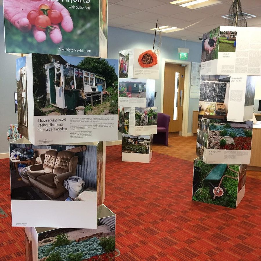 Black Country Allotments at Blackheath library with Susie Parr